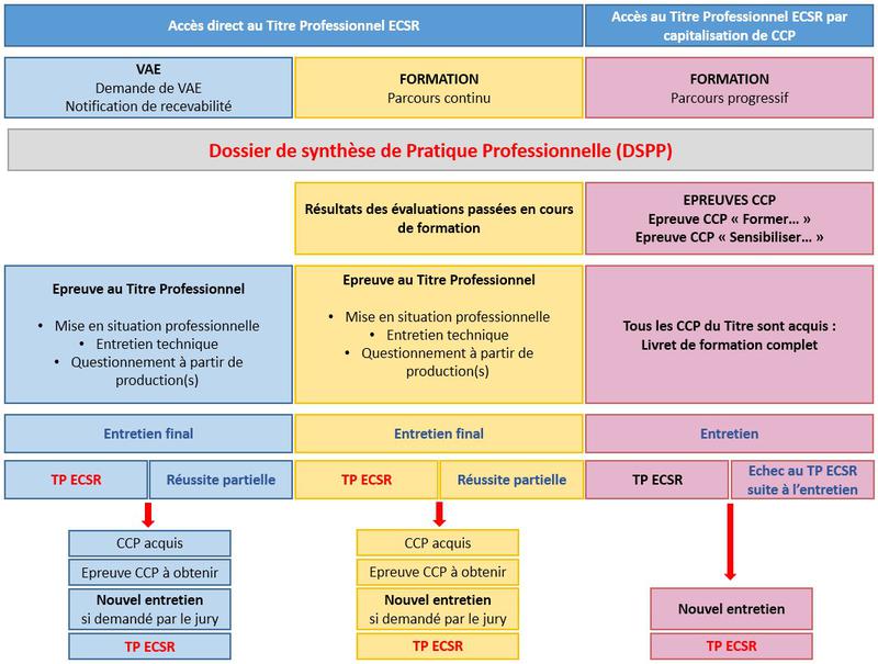 Schéma 3 titre pro
