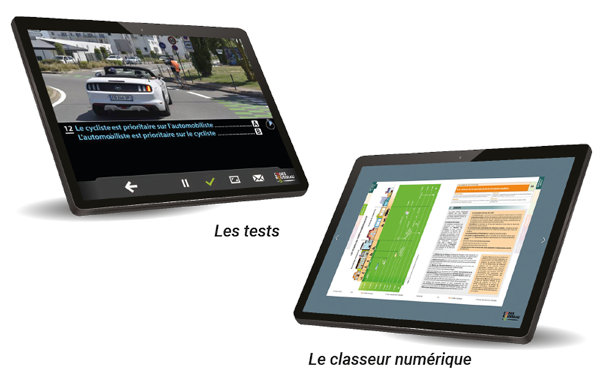 30104028-pass-rousseau-titre-pro-ECSR